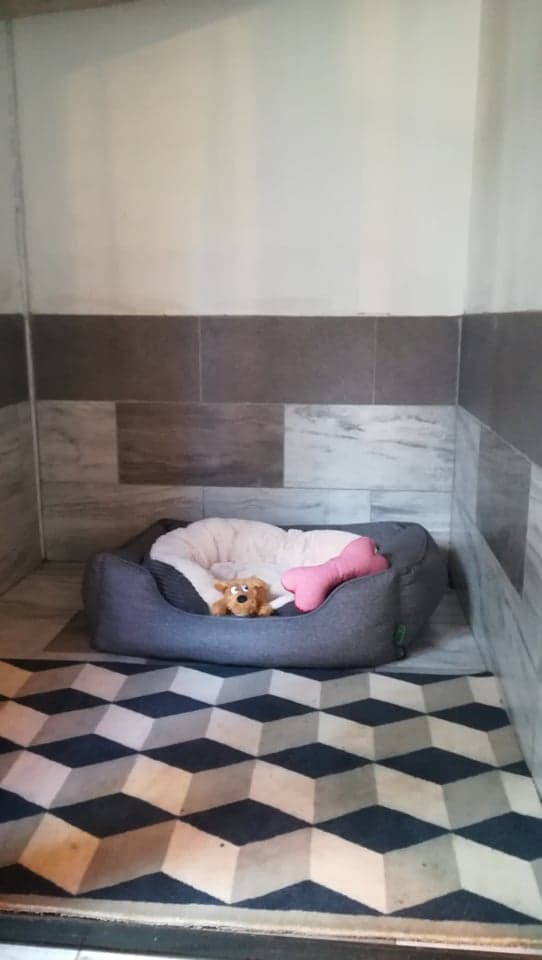 Unutrašnjost boksa s ležajem za psa