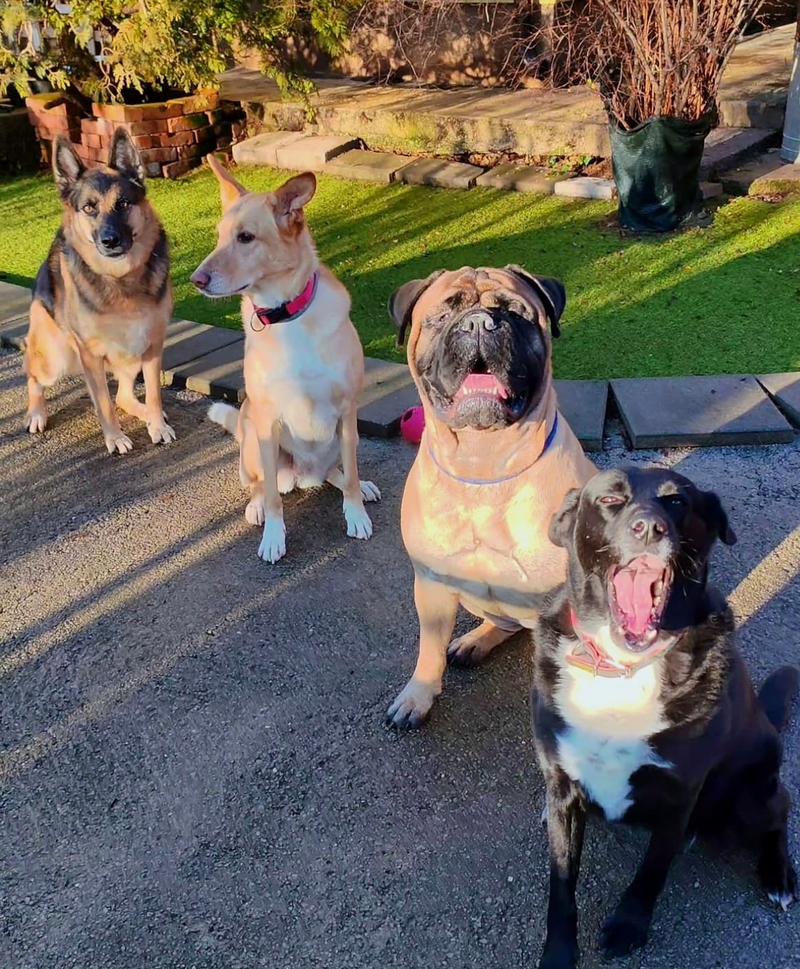 Gost Dogstela